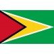 Visa Guyana