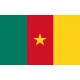 Visa Cameroon